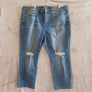 Torrid HighRise Straight Leg Distressed Studded Hem Jeans Sz 20 Short Button Fly